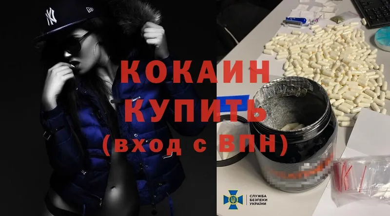 Cocaine Fish Scale  купить наркоту  Дмитровск 